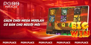 Cách chơi Mega Moolah cơ bản cho người mới